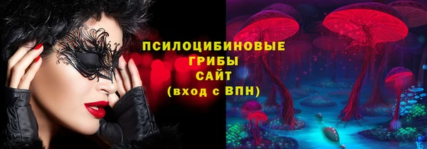 apvp Карталы