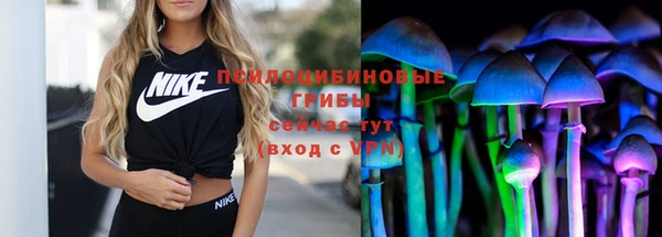 apvp Карталы