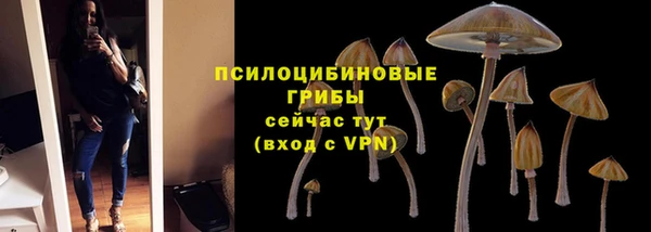 ECSTASY Кинешма