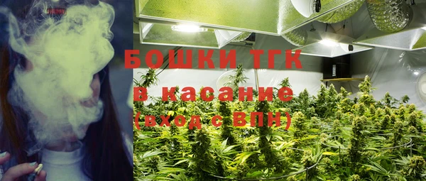 молекула духа Киреевск