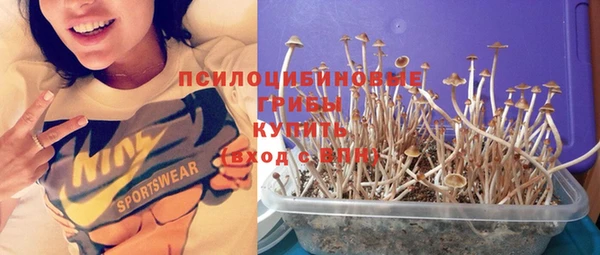 метадон Карпинск