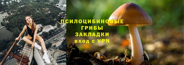 молекула духа Киреевск