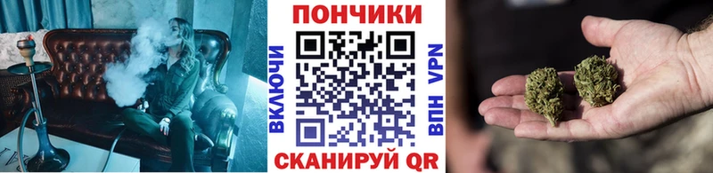 Каннабис конопля  Купить закладки  Волчанск 